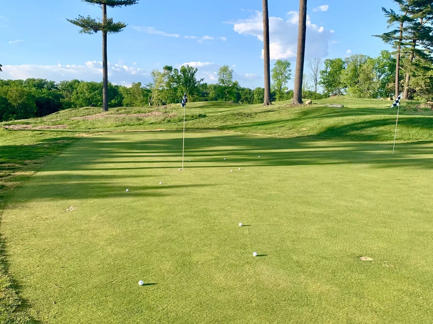 Green de un campo de golf rodeado de pinos en un día soleado